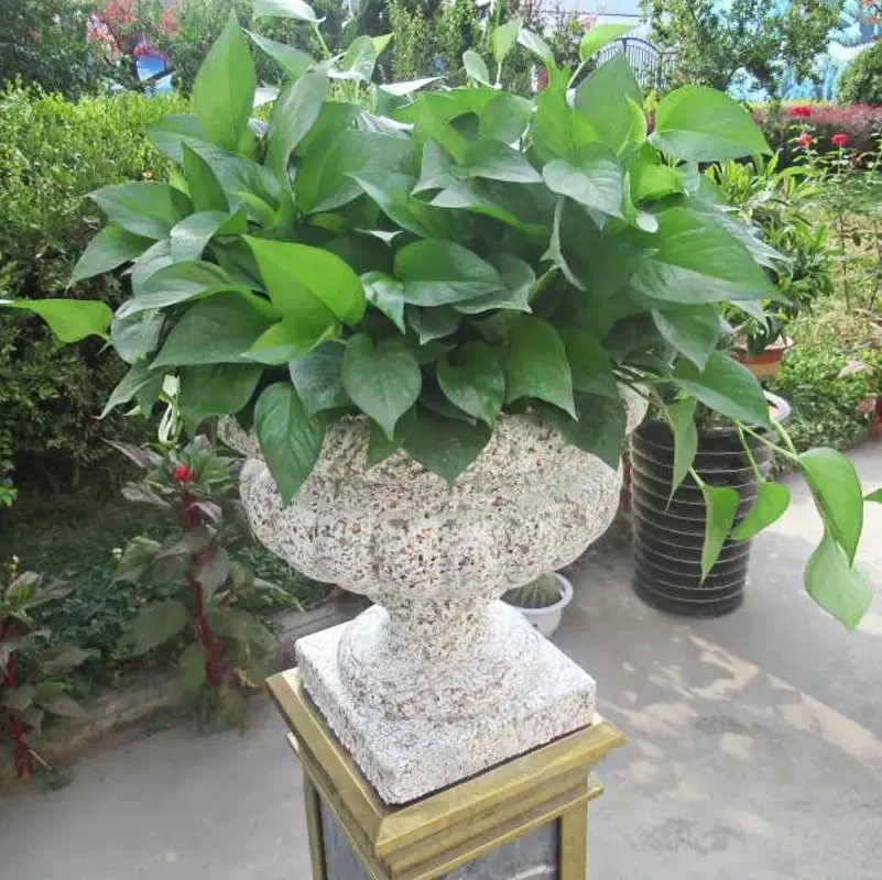 ABS Plastic Concrete Garden Flower Pot Molds Decorate Garden for Sale
